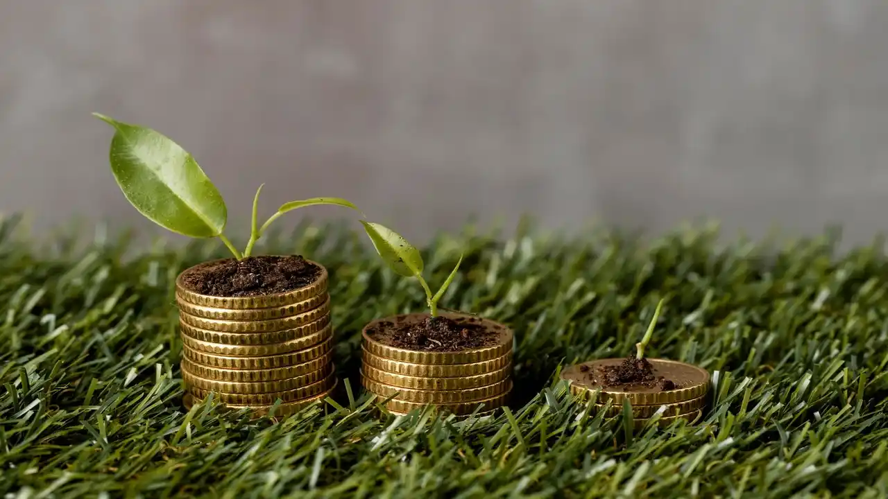 How to Grow Money Plant in Water-Frequently Asked Questions